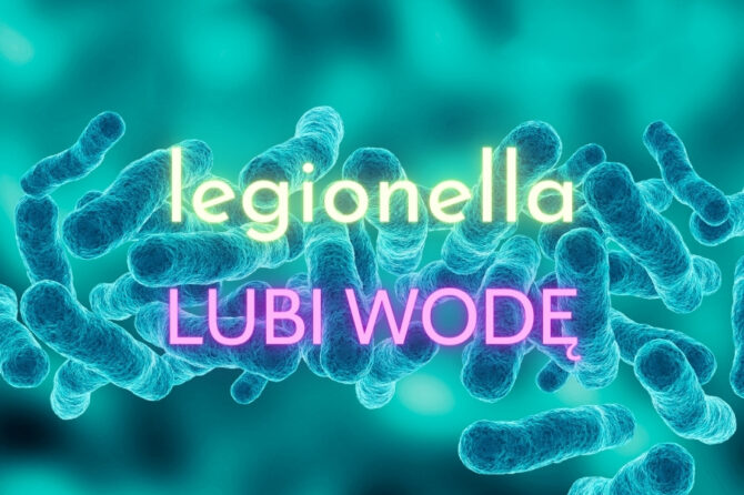 Legionella – jak uniknąć zakażenia?